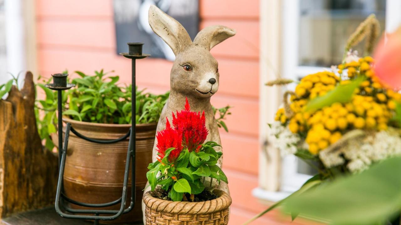 Karja Accommodation Haapsalu Eksteriør billede